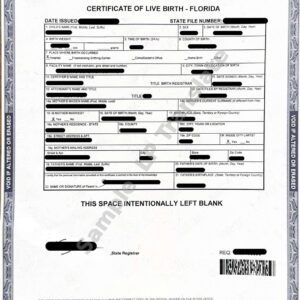 Birth Certificate - Florida #2