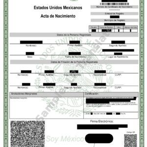 Birth Certificate - Mexico #1