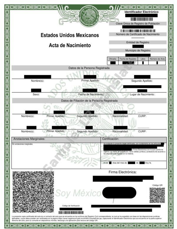 Birth Certificate - Mexico #1