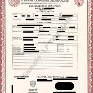 Birth Certificate - Mexico #10
