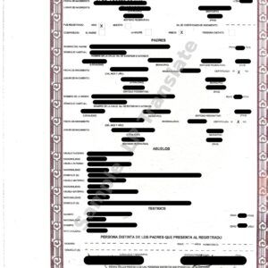 Birth Certificate - Mexico #11