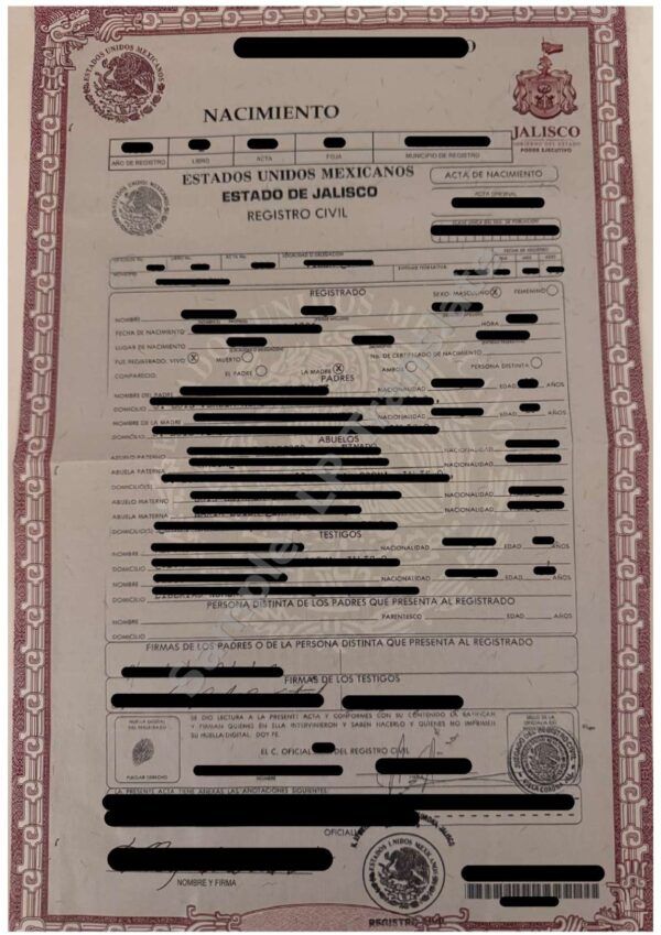 Birth Certificate - Mexico #2