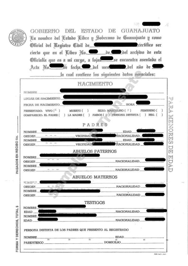 Birth Certificate - Mexico #3