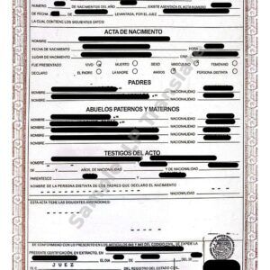 Birth Certificate - Mexico #6