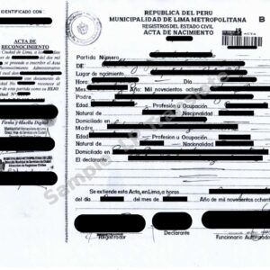 Birth Certificate - Peru #4