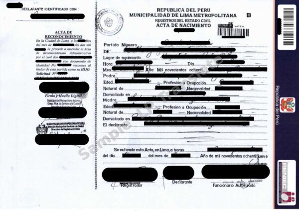 Birth Certificate - Peru #4
