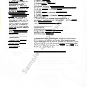 Birth Certificate - Spain #1