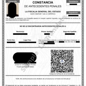 Criminal Record - Mexico