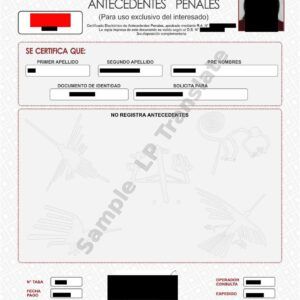 Criminal Record - Peru