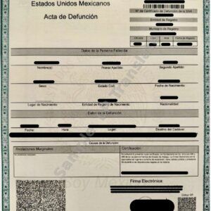 Death Certificate - Mexico #1