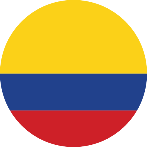 Traduce tus documentos para visa en Colombia 3